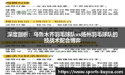 深度剖析：乌鲁木齐羽毛球队vs扬州羽毛球队的技战术配合博弈